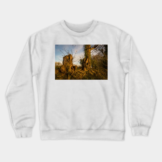 Crooked Forest - 2011 Crewneck Sweatshirt by SimplyMrHill